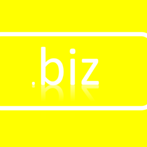 biz domain