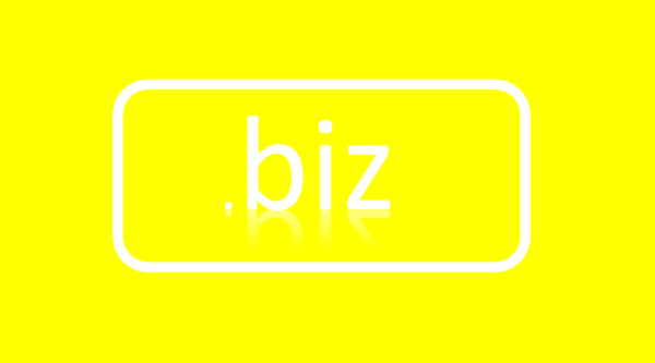 biz domain